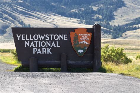 yellowstone national park tours from bozeman